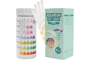 61cVF3pbmpL._AC_UL320_