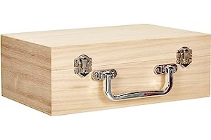 81wPzS21c1L._AC_UL320_