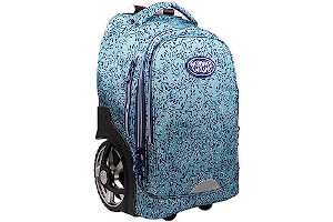 91kfC5orO-L._AC_UL320_